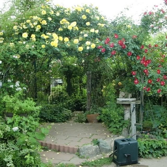 Royal_Gardeners_Clubさんの実例写真