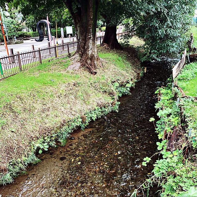 用水が澄んでいて綺麗だったのでつい…/用水路/お出かけ先/注文住宅/小さな家...などのインテリア実例 - 2022-10-14 13:58:12