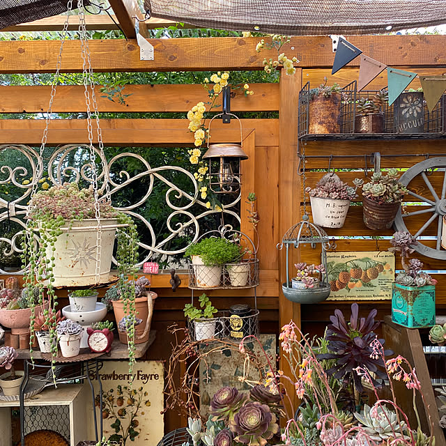 mintteaさんの部屋