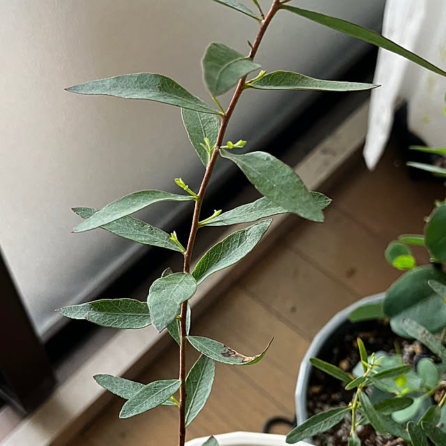 kagomamaさんの部屋