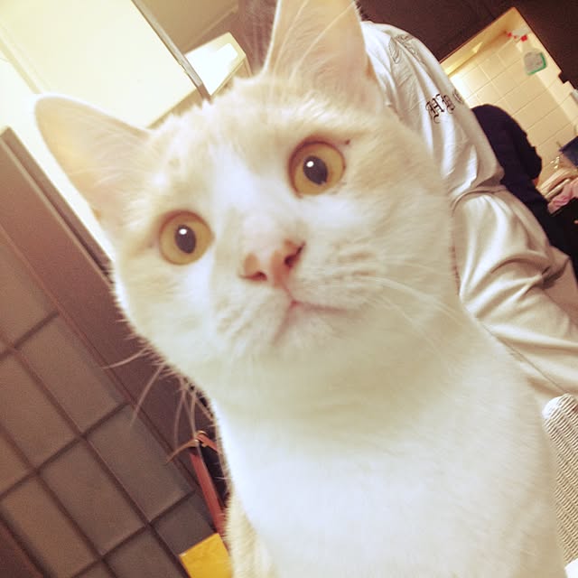 makiさんの実例写真