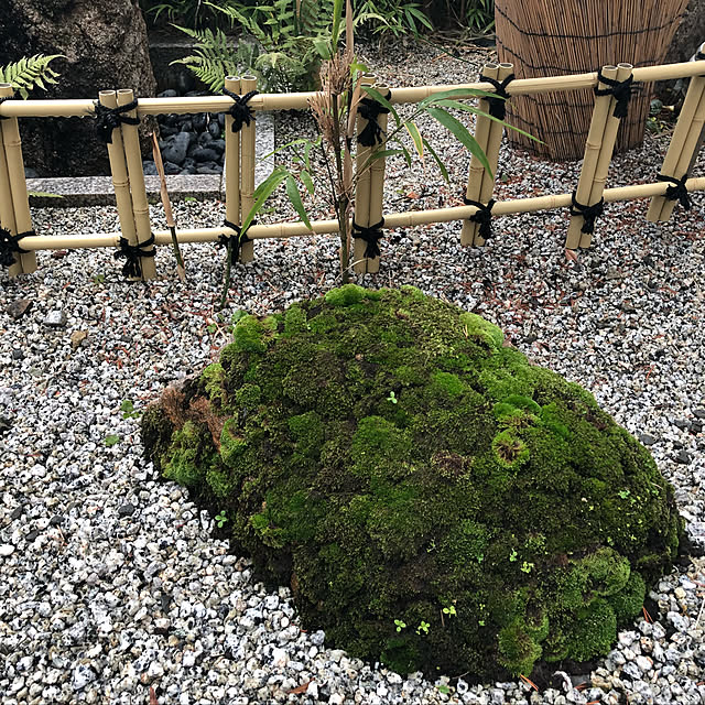 traxさんの実例写真