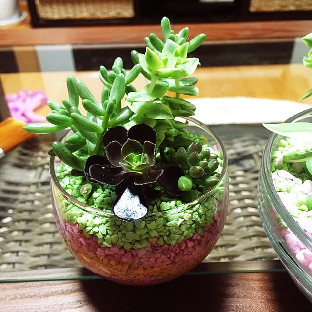 Kiyomiさんの実例写真