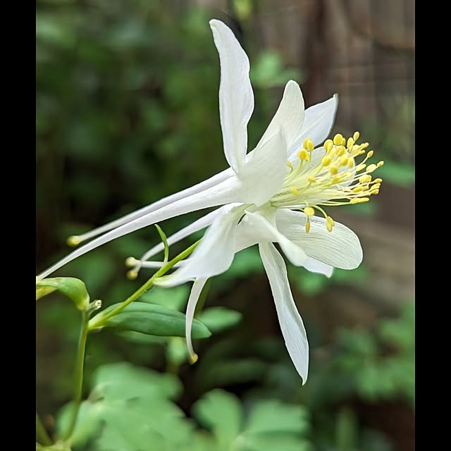 aromameさんの部屋
