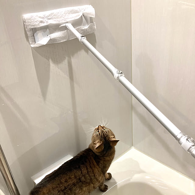 kirinsanさんの部屋