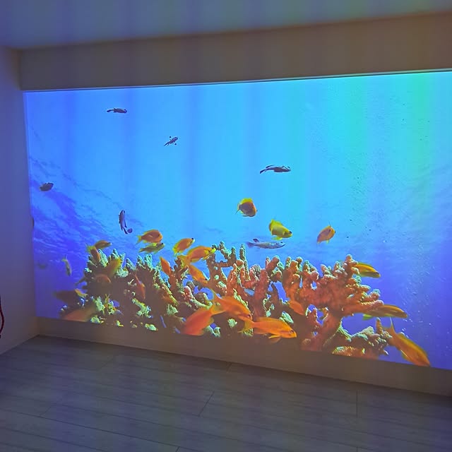 wnさんの実例写真