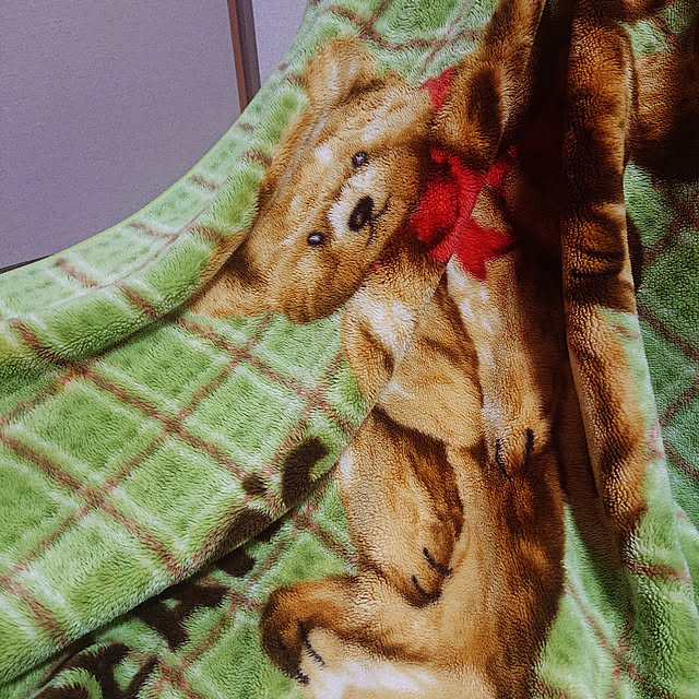 miyukiさんの実例写真