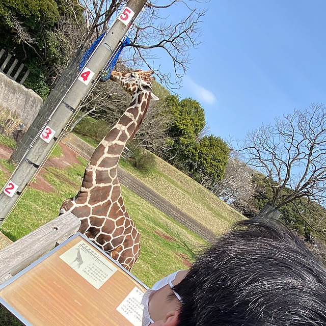 ohanaさんの部屋