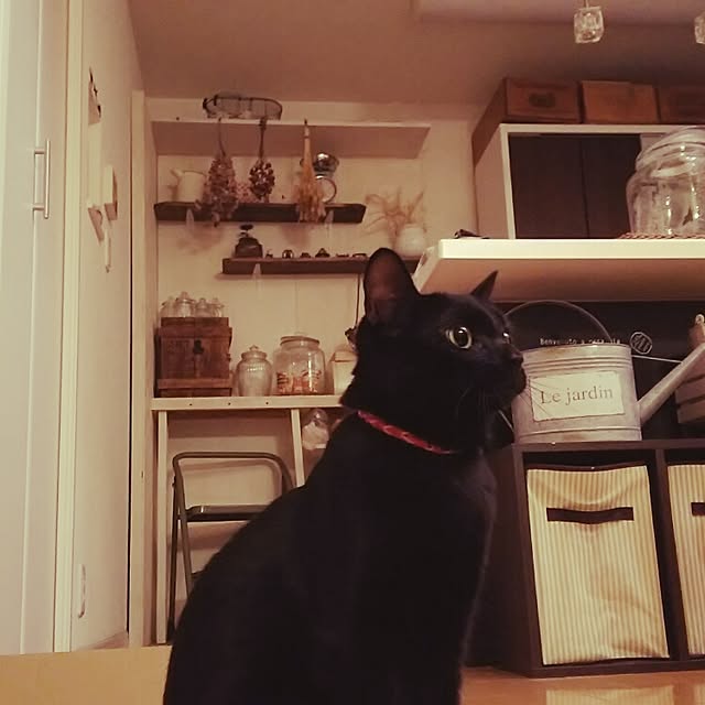 bapymikiさんの実例写真