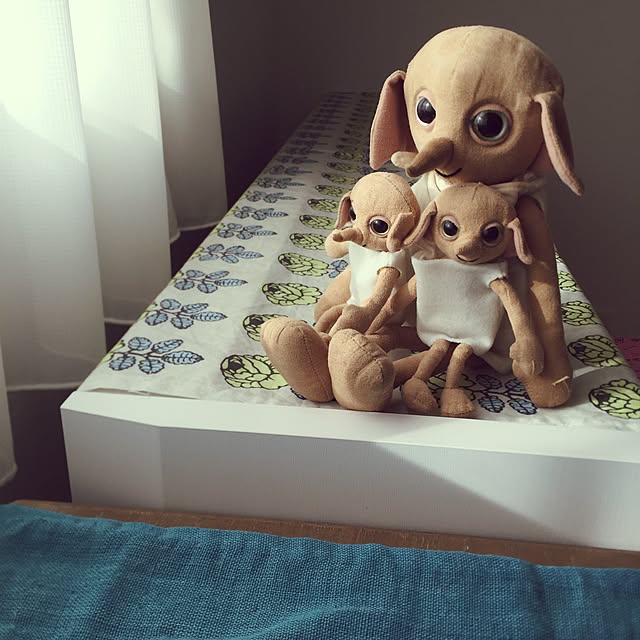 pariさんの実例写真