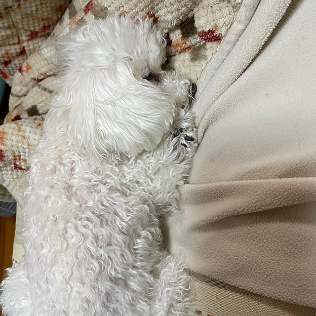 kakoさんの実例写真