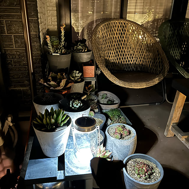 Satoさんの実例写真