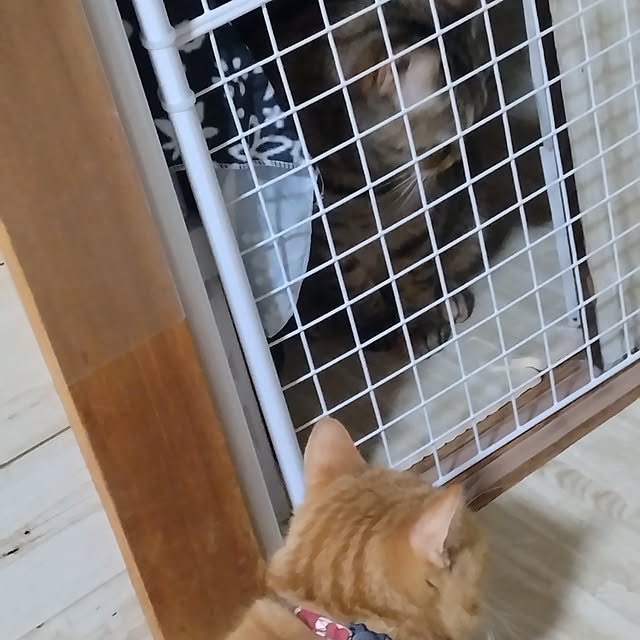 runaさんの部屋