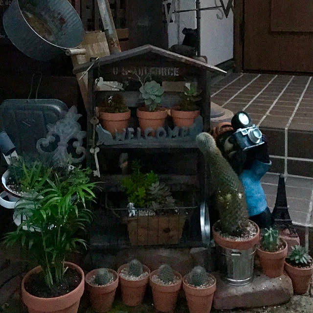 butachanさんの実例写真