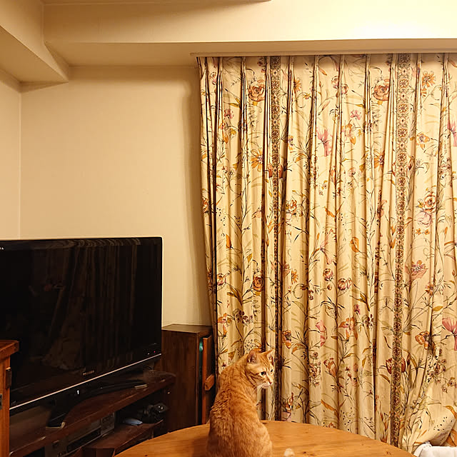 okyosan101さんの実例写真