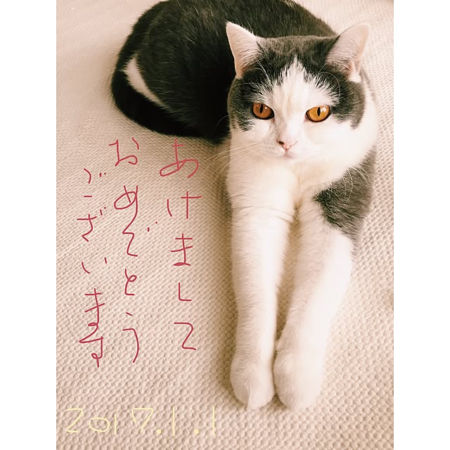 yunさんの実例写真
