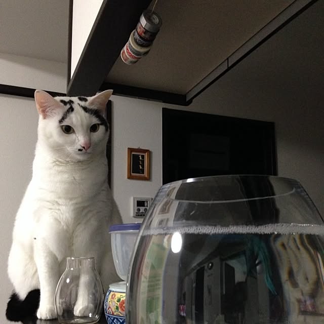 muraさんの実例写真
