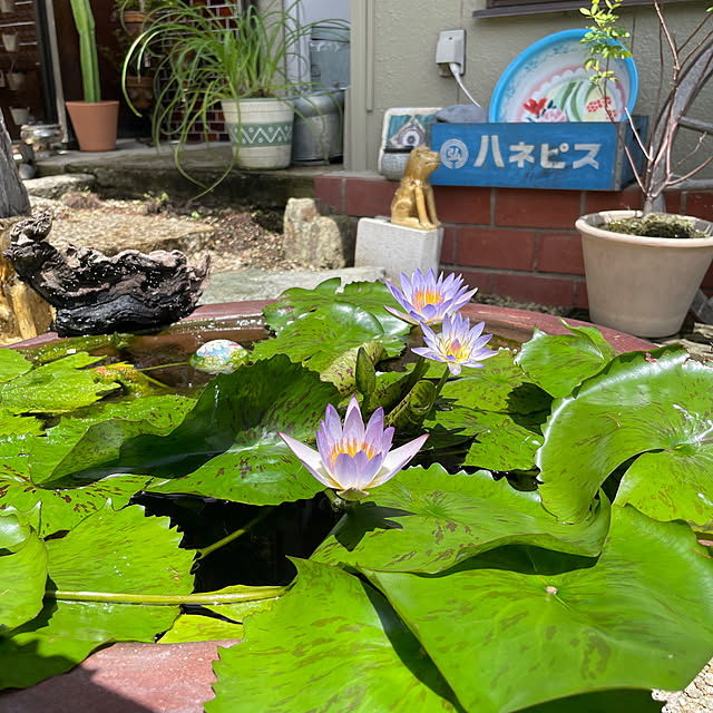 shin0719さんの部屋