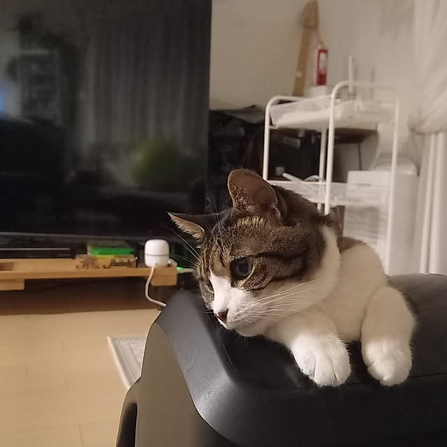civicglさんの部屋