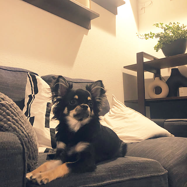 miniのイケア-【IKEA/イケア/通販】 KIVIK シーヴィク カバー（※本体は付属しません。カバーのみの商品です） 2人掛けコンパクトソファ用, ヒッラレド チャコール(a)(30393256)の家具・インテリア写真