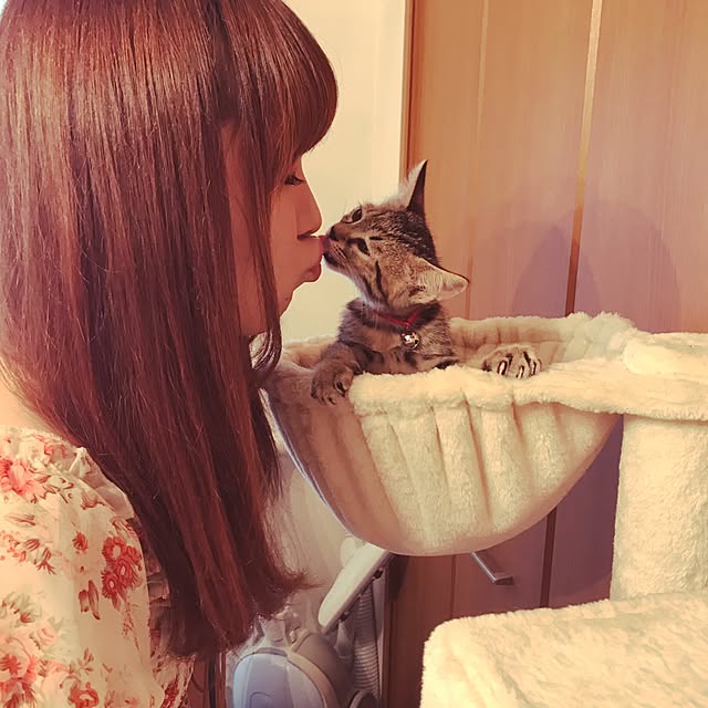 emikoさんの実例写真