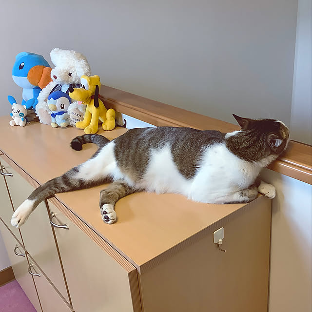haruminさんの実例写真