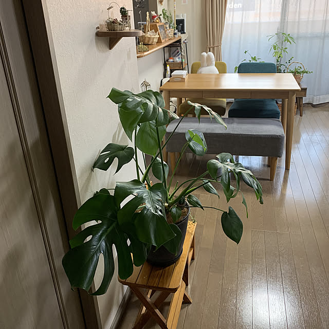 JUNさんの実例写真