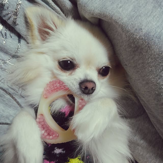 okuriさんの実例写真