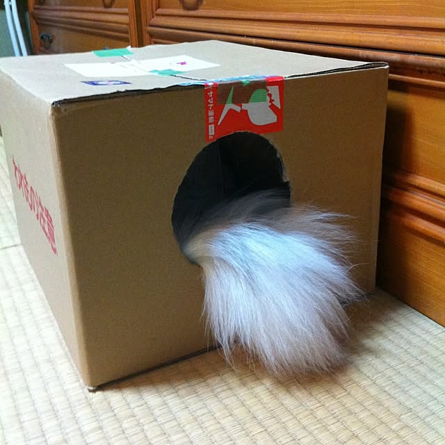 mowapowaさんの実例写真