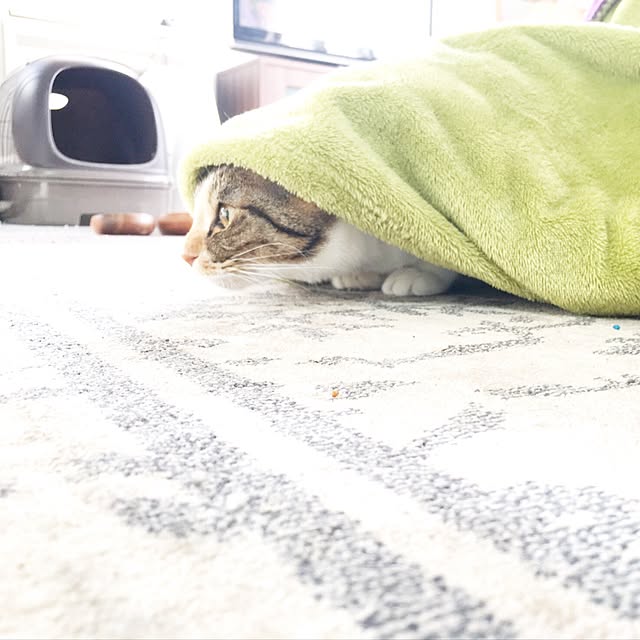 nauy2525さんの実例写真