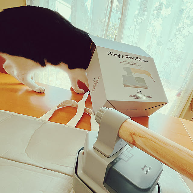 moolさんの部屋