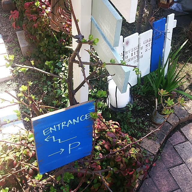moco-chanさんの実例写真