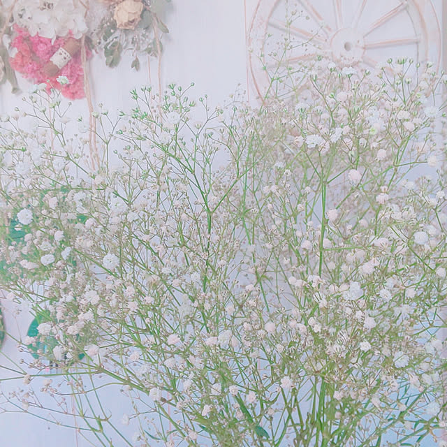ksyf-naturalさんの実例写真