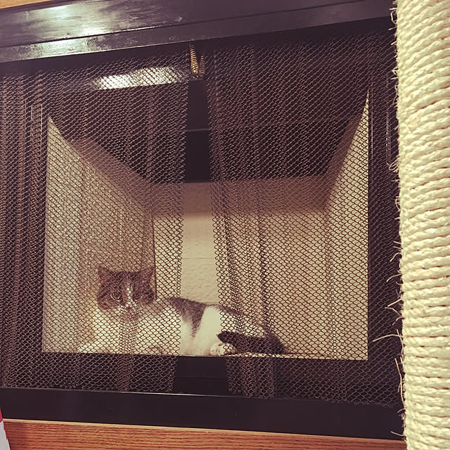 Keiさんの実例写真