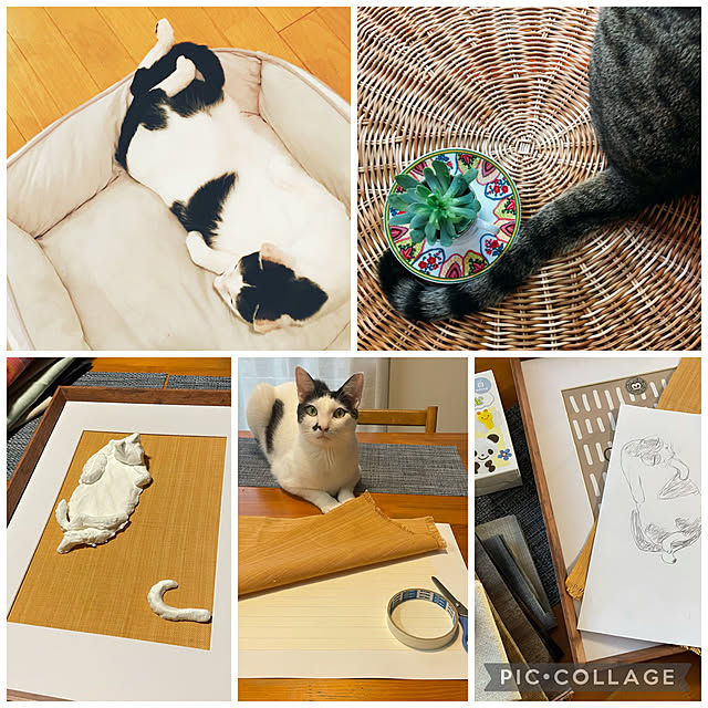 nobikoさんの実例写真