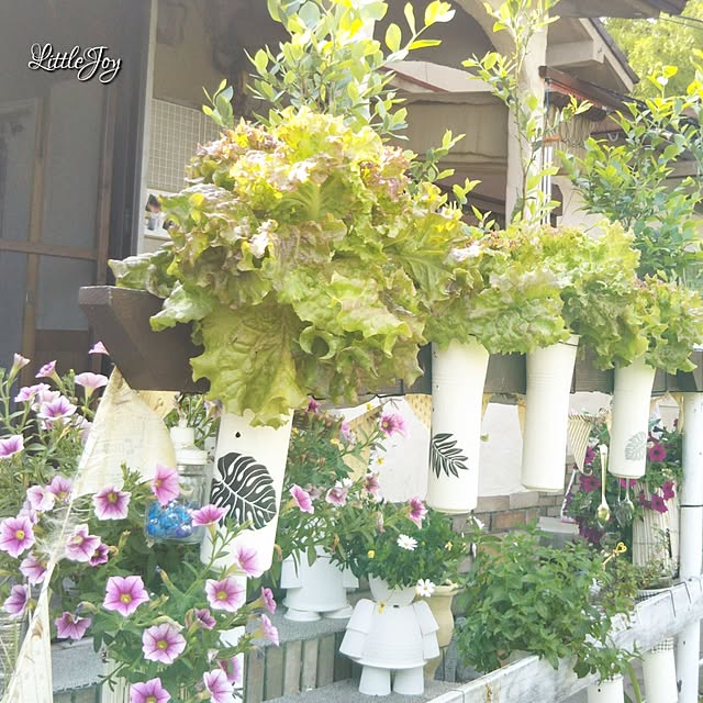 littlejoyさんの実例写真