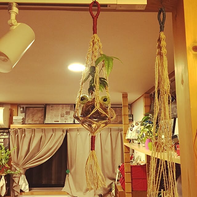 c.g.nikoさんの実例写真