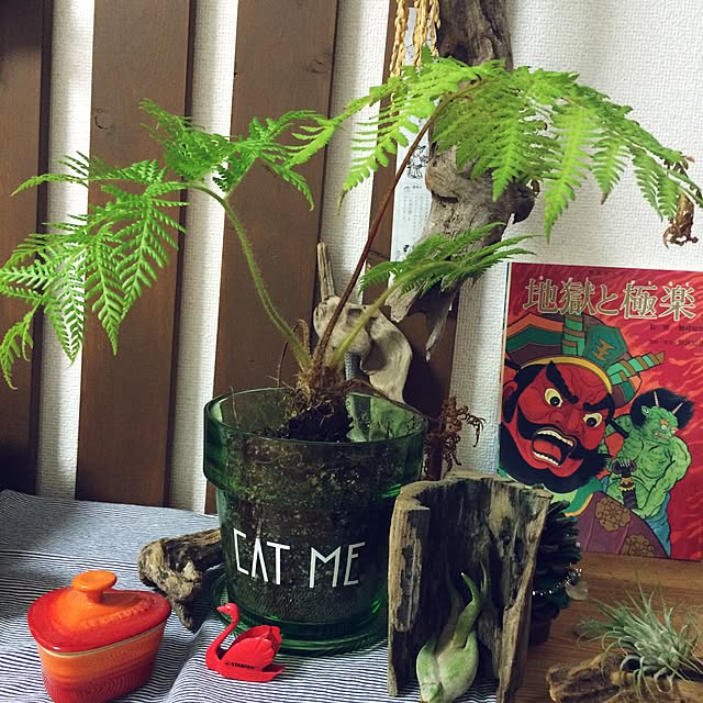petitlaboさんの実例写真