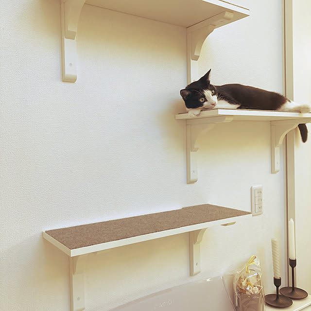 lei_laniさんの実例写真