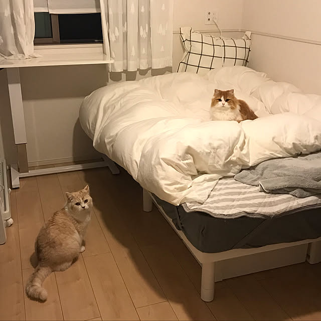 H.Tさんの実例写真