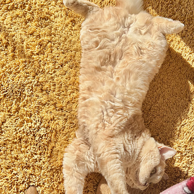 naokoさんの部屋