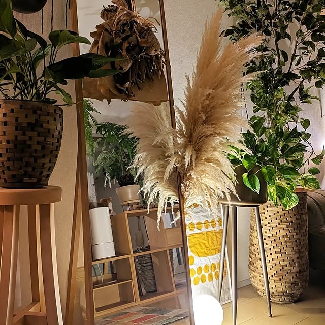 ayamameさんの部屋