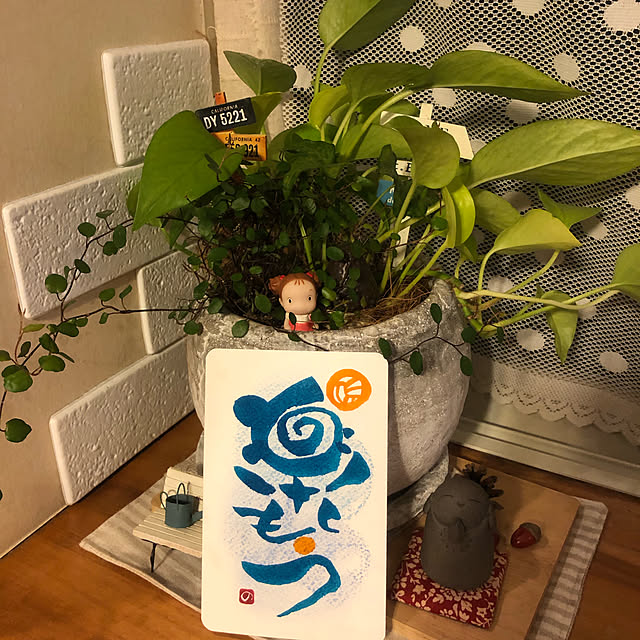 nokkoさんの実例写真