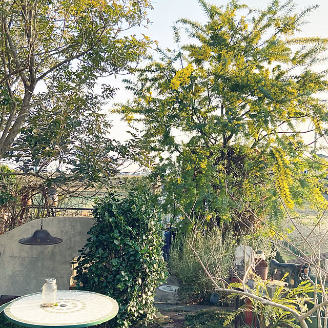 highig16さんの実例写真