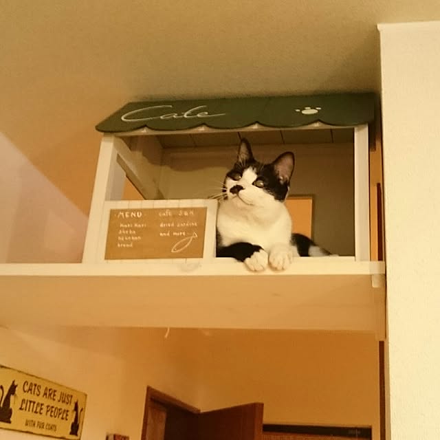 kazaneさんの実例写真