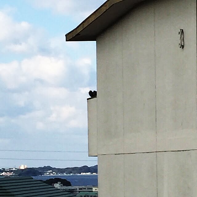 maaさんの実例写真