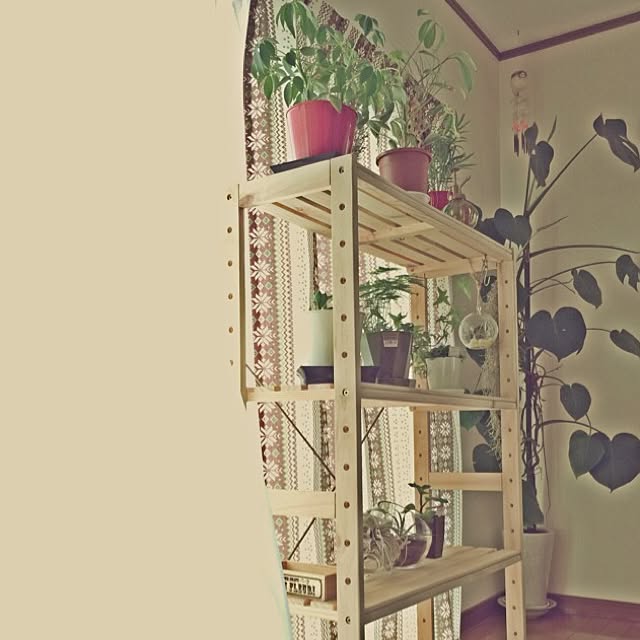 jourlly.tommyさんの実例写真