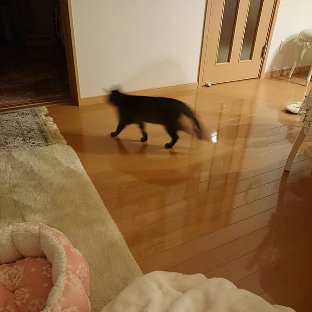 lilyさんの実例写真