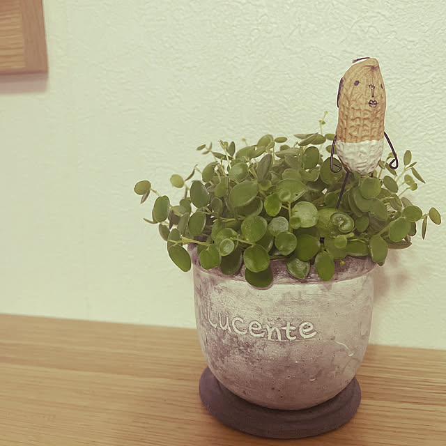 cocoさんの実例写真