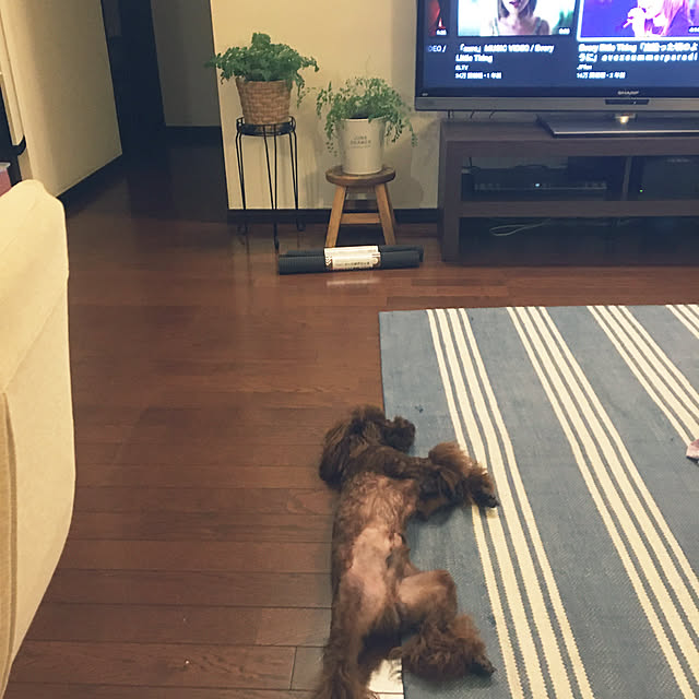 aoi.riomama.さんの実例写真